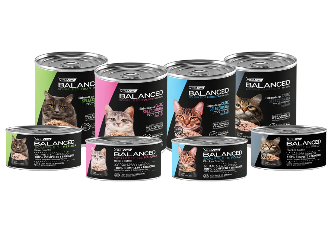 Imagen de nutrición felina de Vitalcan