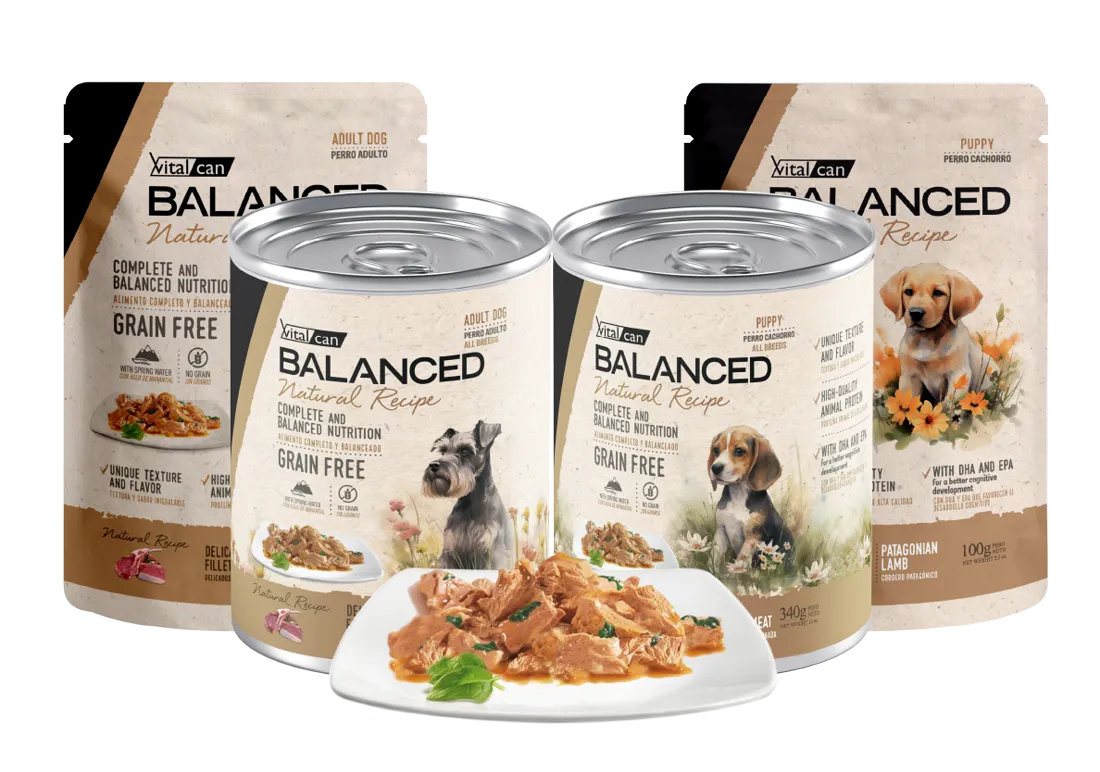 Imagen de nutrición canina de Vitalcan